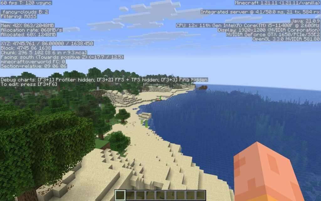 Экран отладки F3 в Minecraft Java Edition 1.21.11: строки текста по краям экрана