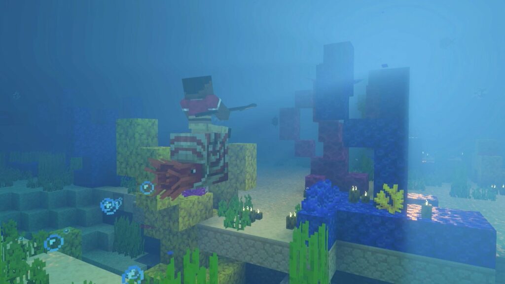 Подводный мир с кораллами и рыбами — официальный скриншот Minecraft для Nintendo Switch 2