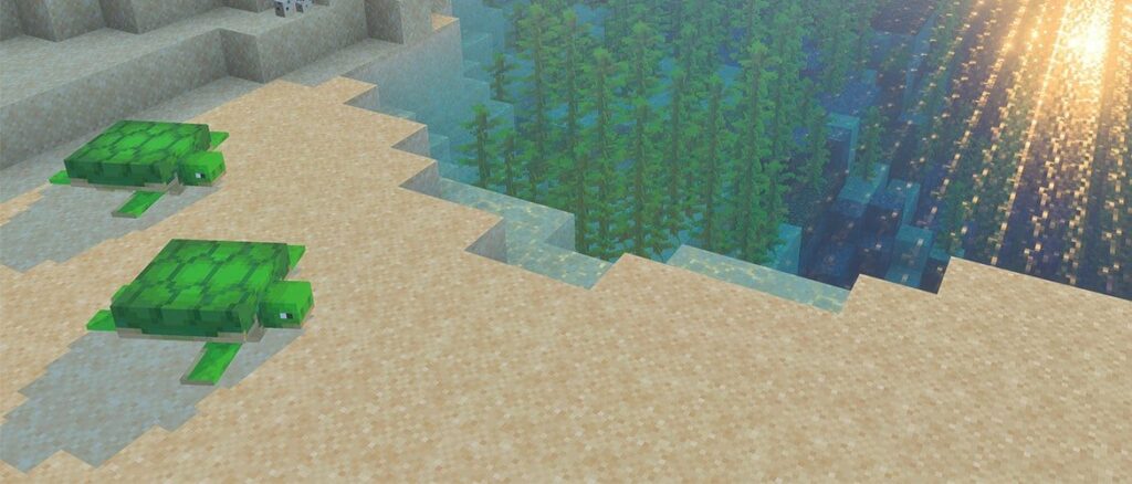 Minecraft с графикой Vibrant Visuals: пляж с реалистичным освещением и водой